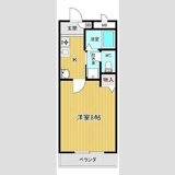 リオ・エテルノの画像