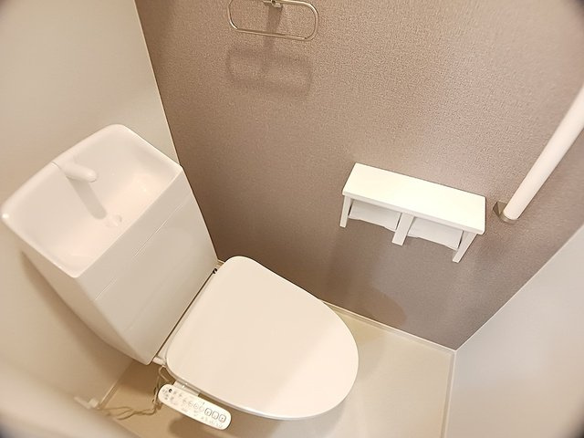 メゾン　ド　グレイスＢのトイレ