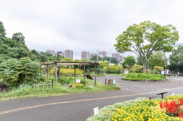 敷地内の中庭はお子様の遊び場スペースとしても安心です
春は桜が咲きお花見もできます