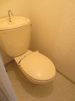 アルシュハルミNo.1のトイレ