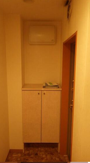 Ｓ－ＦＯＲＴ柏の玄関|きれいな玄関です