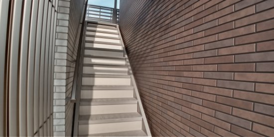 ミランダ高江Ｋのその他