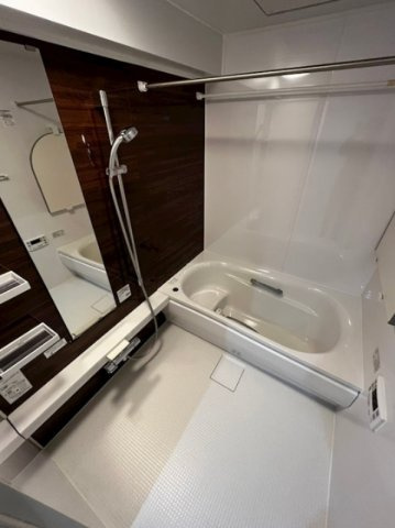 ルイシャトレ大手前の浴室
