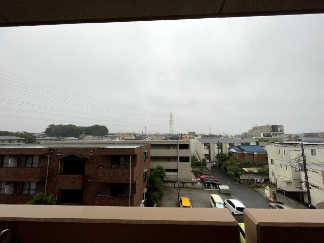 ドルファーズの展望