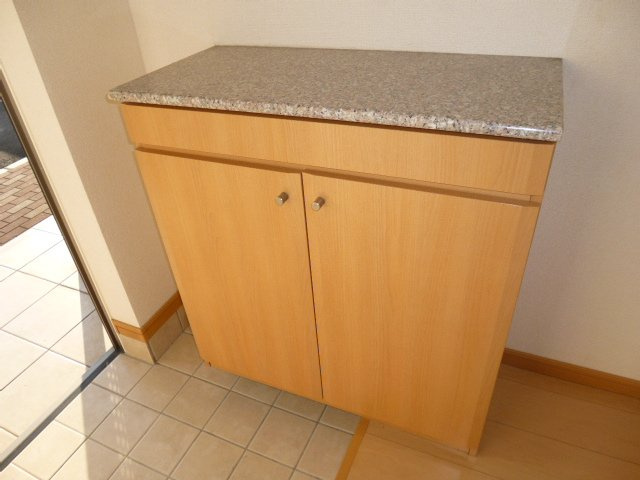 フェリーチェルーナの内装|シューズボックス