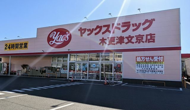 【周辺】 | バンベール文京 | ヤックスドラッグ木更津文京店まで650m