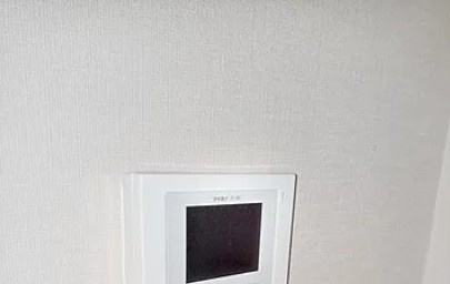 カーサプレインのセキュリティ
