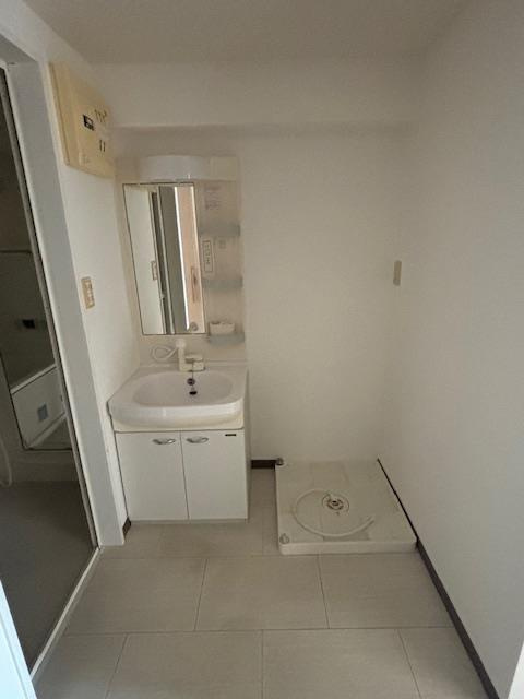  あおぞらマンションの洗面所