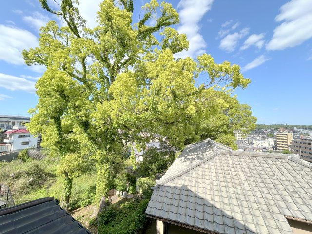 俵口町戸建てのその他