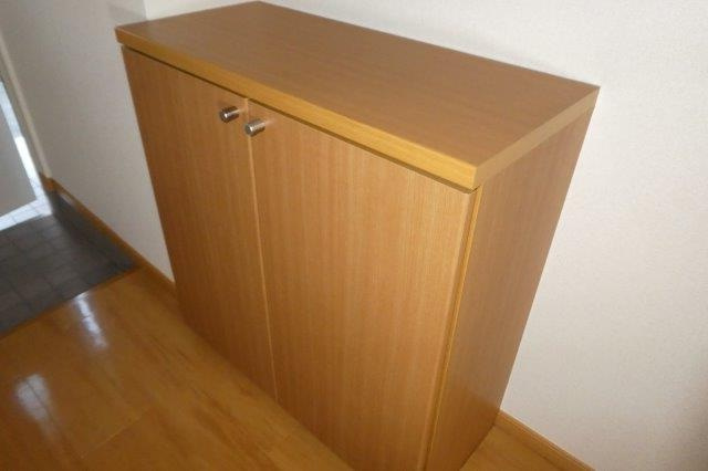 ソレイユKの玄関