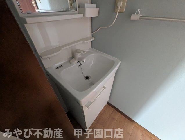 ハイツテンドウの洗面所