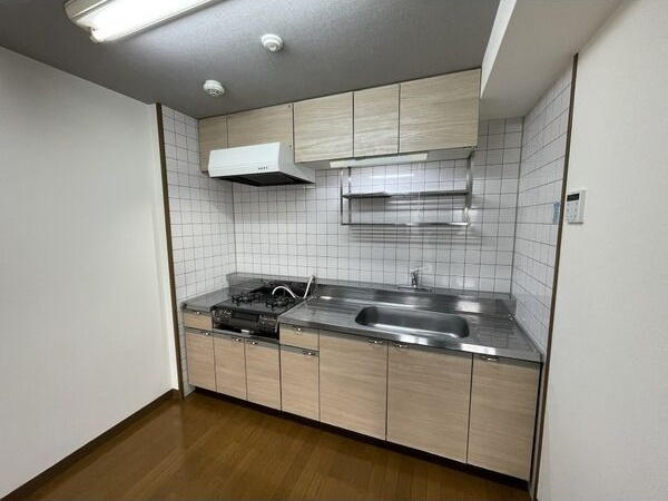 ヴィアーレマルフク南館のキッチン