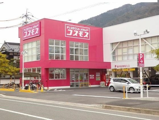 セイシャルＬの周辺|コスモスまで550m