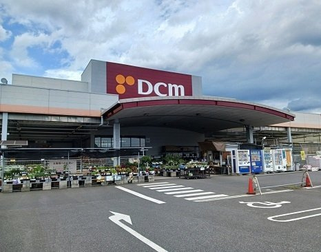 フリーデ　Ｃの周辺|ＤＣＭ　ダイキまで800m
