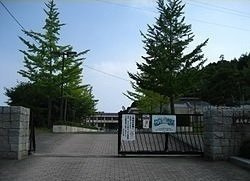 シンシアリーの周辺|城山中学校まで1400m
