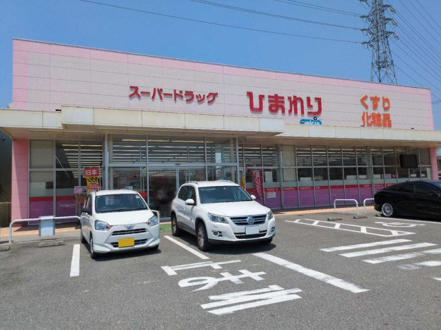 レオネクストチェディグローブⅢの周辺