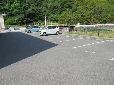 レオネクストグリーンパールのその他