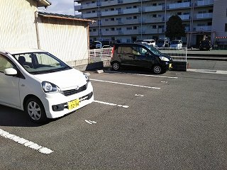レオネクストベルニナのその他