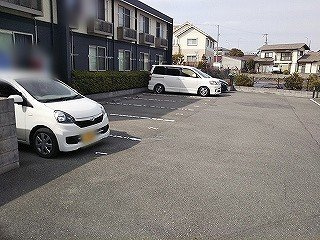 レオネクストスィートストロベリのその他