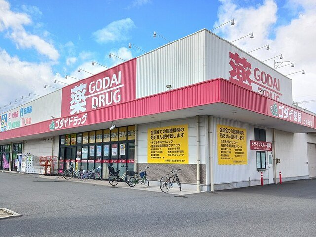 フローリッシュ・メゾン上野田２の周辺|ゴダイドラッグまで350m