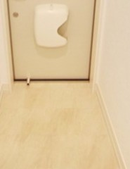 川崎市多摩区三田１丁目のアパートの玄関