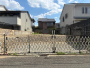K12179-紫竹の画像