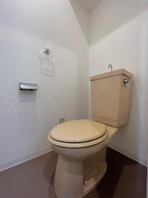 プランドール・コダイのトイレ|落ち着いた色調のトイレです