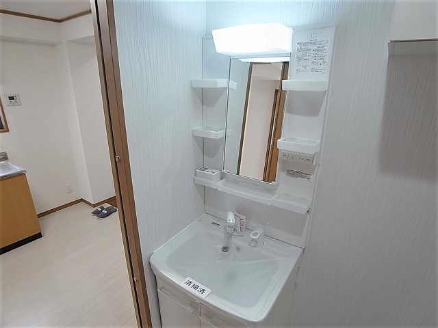品川第6マンションの洗面所|シャンプードレッサーの独立洗面