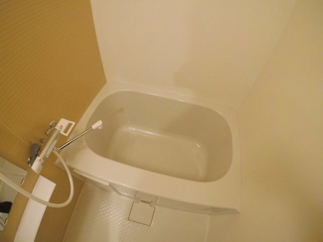  | LiveFlatTsukamoto