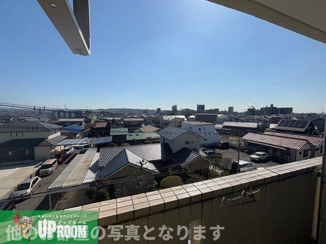 レガーロ・シノギの展望
