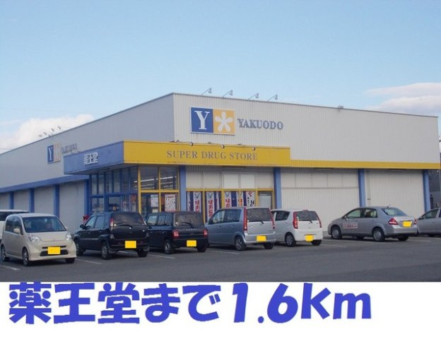 ティーフェの周辺|薬王堂常盤台まで1600m
