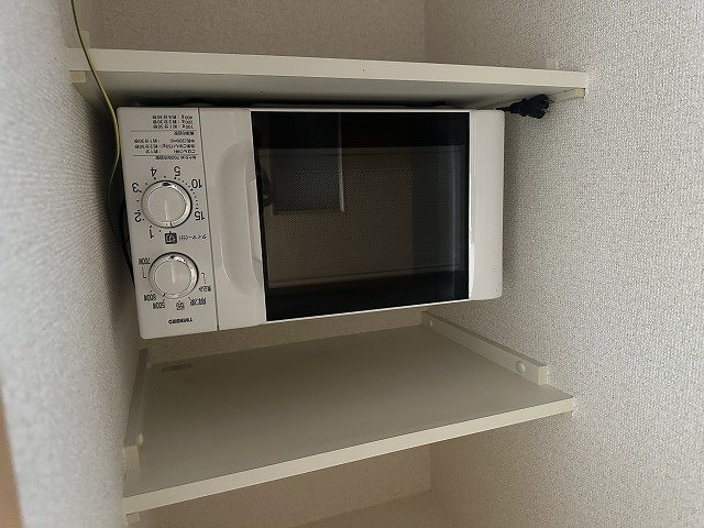 レオパレスエクセルハイムⅡのその他