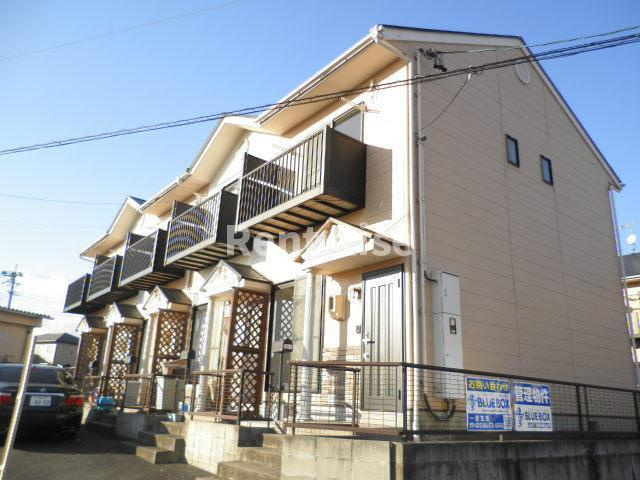DUPLEX 国王81A