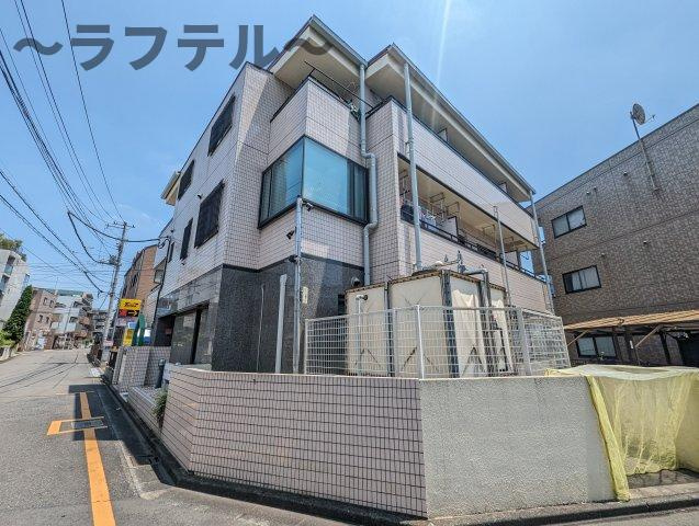 メ－サ クスノキ