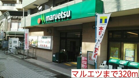 タウンコート中川の周辺|マルエツまで320m