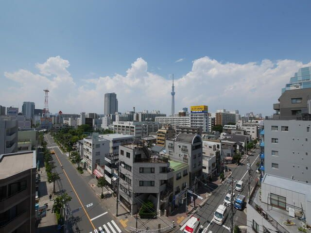 ルアナ亀戸の展望