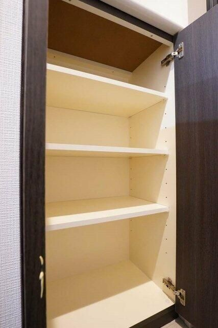 レガリアタワーレジデンスの収納
