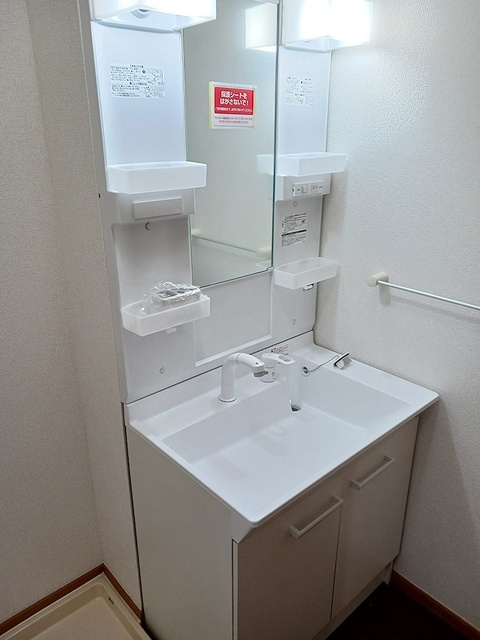カーサプラシードAの洗面所