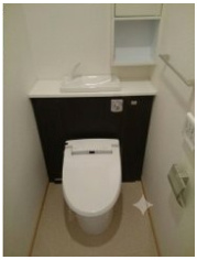 Ｎｅｘｕｓ１１０のトイレ