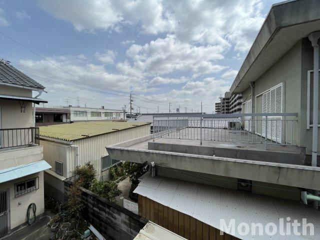 セルバの展望