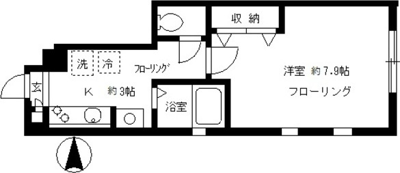 マグノリア ステラータ マキシマ