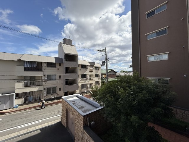 ベルファース緑地公園の展望