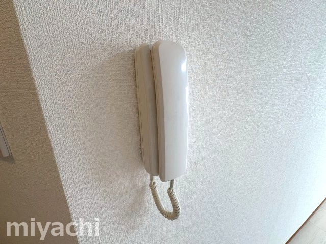イチエイパークサイドハイツのその他