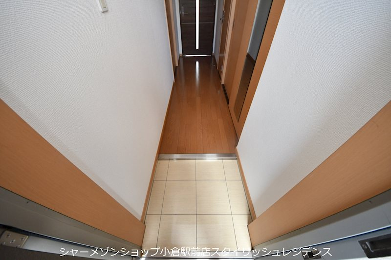 GRAVISのその他