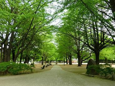 【周辺】 | 板橋区前野町2丁目　新築戸建　9980万円 | 板橋平和公園