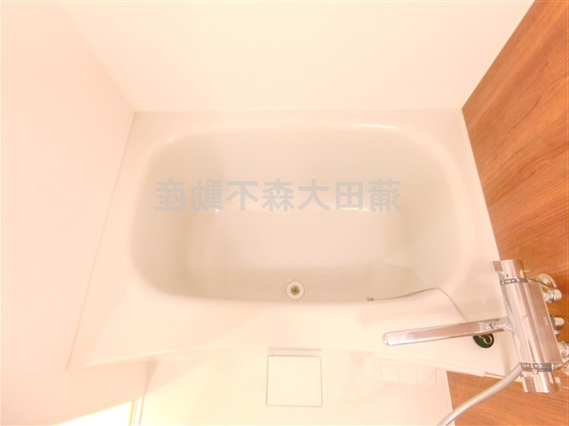 クレヴィスタ蒲田Ⅱの浴室