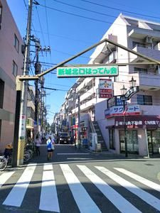 ライオンズマンション武蔵新城緑園の街壱番館の周辺