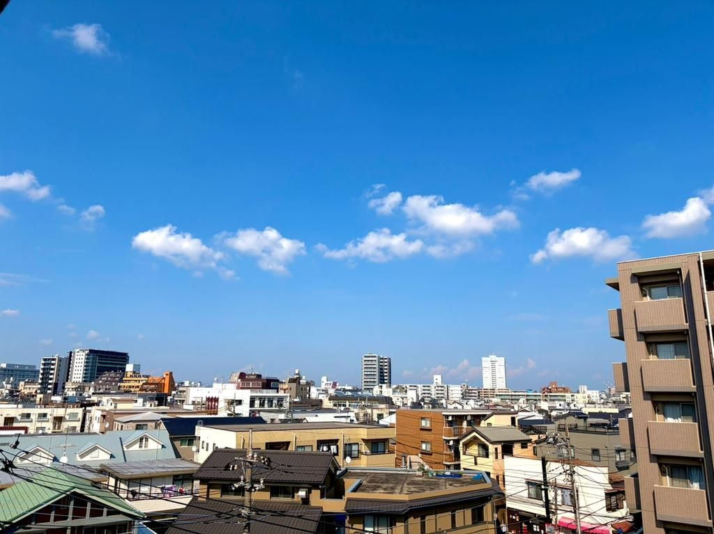 ライオンズマンション武蔵新城緑園の街壱番館の展望