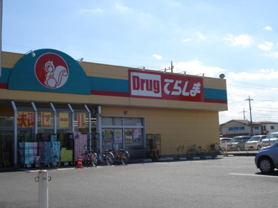 【周辺】 | パーク　モルデノ | ドラッグてらしま古河鴻巣店まで1,777ｍ