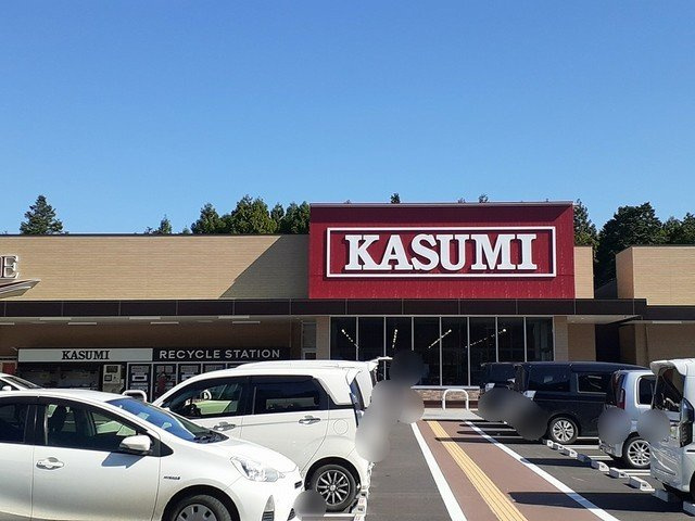 【周辺】 | さくらハイツＤ棟 | カスミ古河諸川店まで1000m